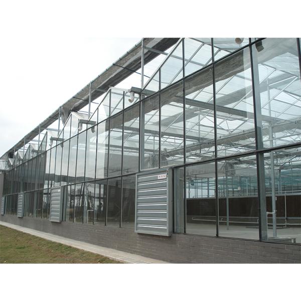 Customizable Multi Span Greenhouse With Side Vent And Roof Height 3.73M