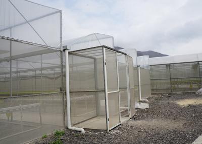 Systèmes de serre hydroponiques résistants à la pluie avec support galvanisé
