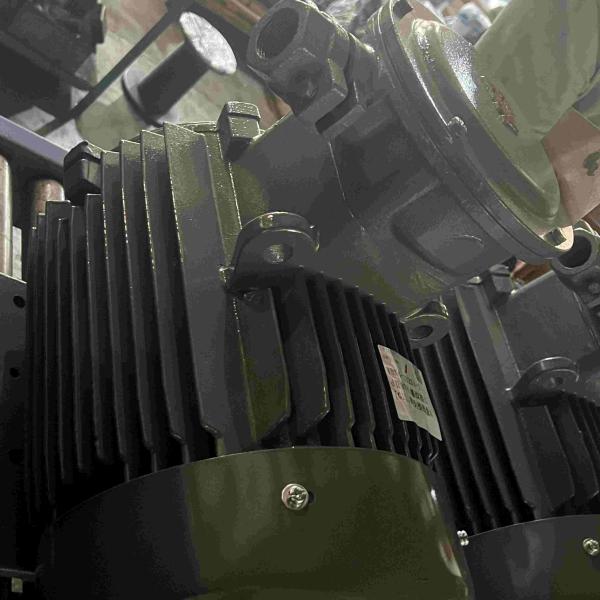 Motor elétrico de baixa tensão de travagem precisa de 60 Hz para aparelhos de reparação