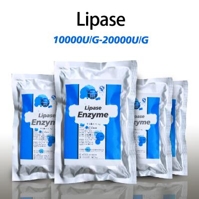 enzyme qui décompose les graisses 20000U/G fournissant un échantillon de préparation enzymatique et personnalisant les spécifications d'activité enzymatique