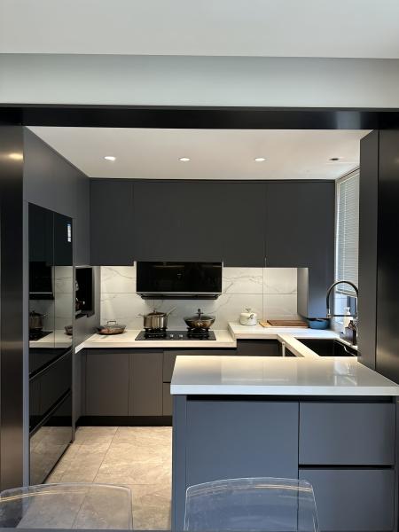 China Factory Kitchen Cabinets with Quartz Granite Countertops