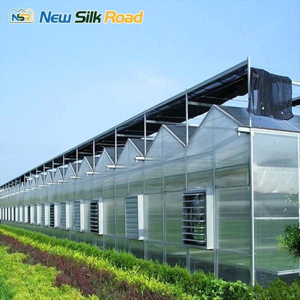 commercial low cost agricultural greenhouse sale hot house greenhouse polycarbonate sheet greenhouse for agro