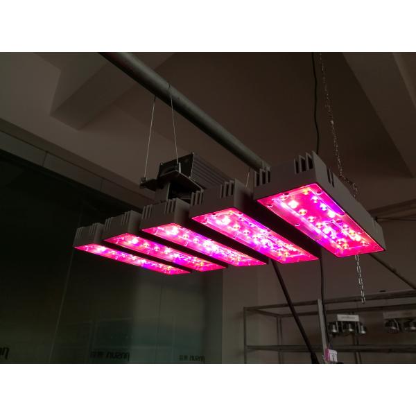 150W Plant light led hanging grow light for greenhouse  vegetable growing RGB  ceiling grown light 85% save energy