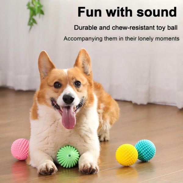 Colorful Pet Toys Made from Non Toxic Materials to Stimulate Pets and Encourage Healthy Playtime Activities