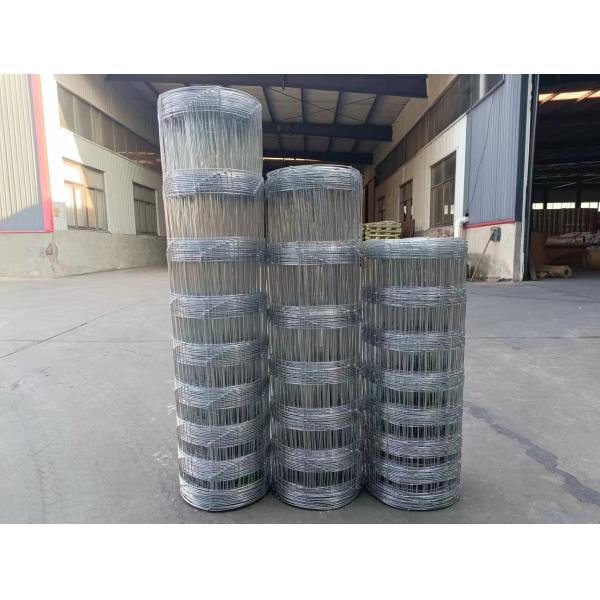 Ограждение с оцинкованным фиксированным узлом Металл Железо Белое Садовое Ограждение Алюминиевое Ограждение Низкоуглеродистая стальная проволока Основные железные ворота