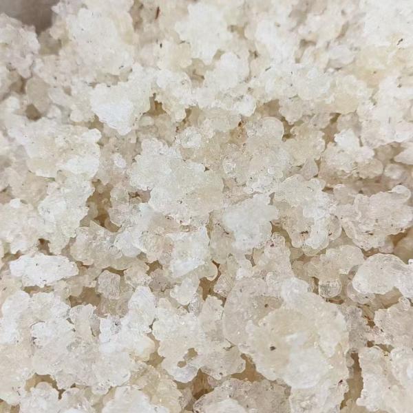 Sun Dried Xueyan Snow Swallow Natural And Organic For Health Food