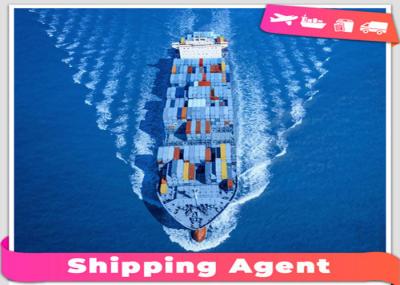 Safe International Sea Freight Forwarding From Shenzhen To Saudi Arabia