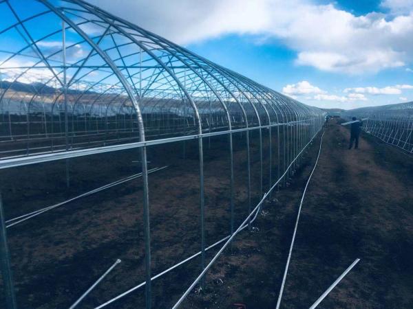 A barraca exterior interna da estufa pequena/vegetal cresce fácil da barraca instalado