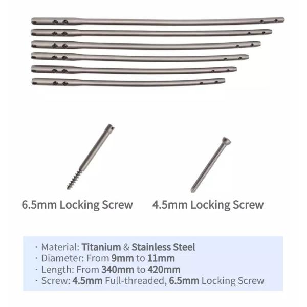 Stainless Steel Reconstruction Femoral Intramedullary Nail