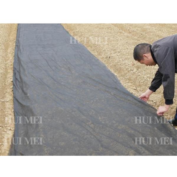 разрыв не сплетенной ткани 190cm земледелия 160gsm белый устойчивый