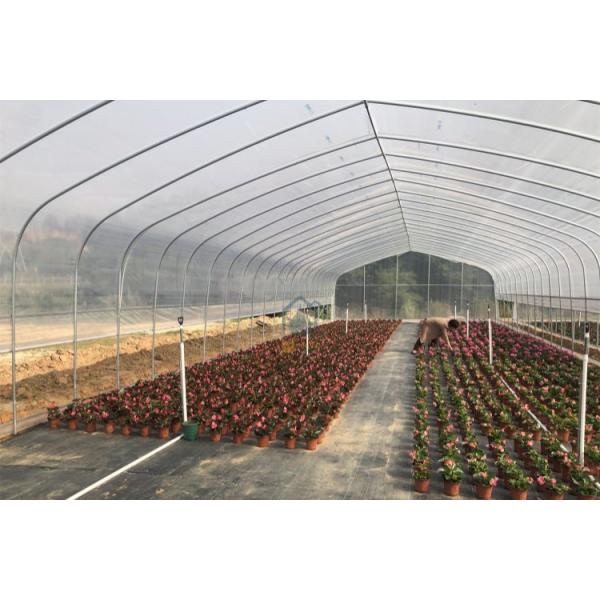 Hot Dip Galvanized Agricultural Green House Arched Poly Tunnel Green Houses