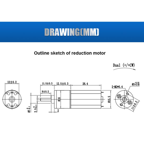 Customized Gear Ratio  FT-16RGM050  Micro DC Worm Gear Motor 12V 24V Spur Gearbox Motor