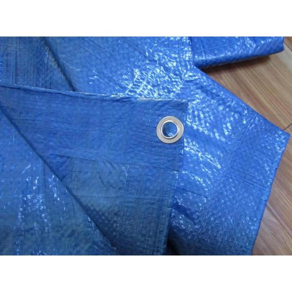 p.e.tarpaulin sheet and roll,60gsm 90gsm 6*6 7*7mesh ,