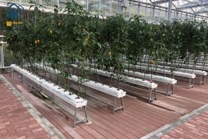 Vegetables PVC Drainage Substrate Planting Gutter Troughs Hydroponic Trough