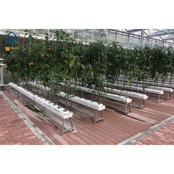 U Type Hydroponic Trough System Agricultural Vegetable Growing Troughs Eco