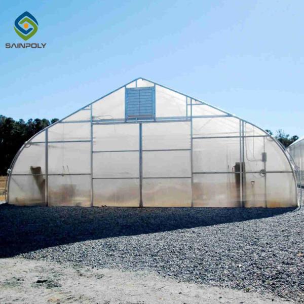 Anti Corrosion Plastic Film 10m Single Tunnel Greenhouse