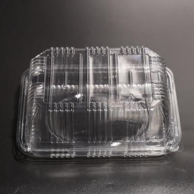 Customized Color Plastic Food Container PET Container With Lid For Freezer Storage
