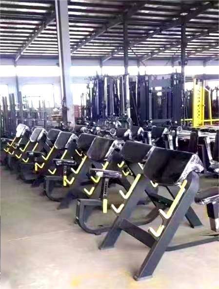 Adjustable Steel Preacher Curl Strong Bench Press with Plate Rack for Sports Exerciser