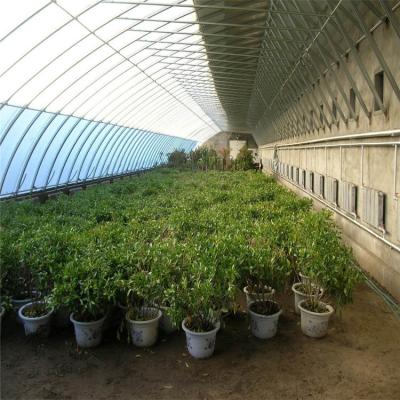 Estufas de jardim de alto isolamento com controle de temperatura e tamanho personalizados