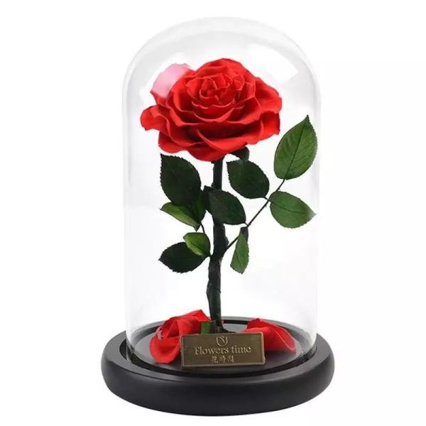 Luxury DIY Gift Preserved Rose In Forbidedden Glass Dome Long Lasting Beauty And The Beast Rose