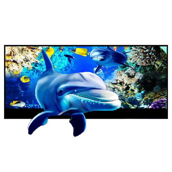 Indoor Polarized Optical Indoor 3D Video Advertising Screen Immersive 3D Display Screen
