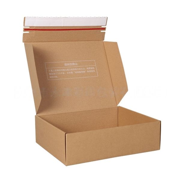 Customized corrugated airplane box one-piece convenient flip box packaging