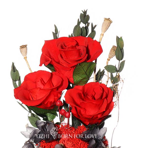 Deluxe 3 Rose Glass Shaded Eternal Rose Box For Your Loved One On Valentines Day