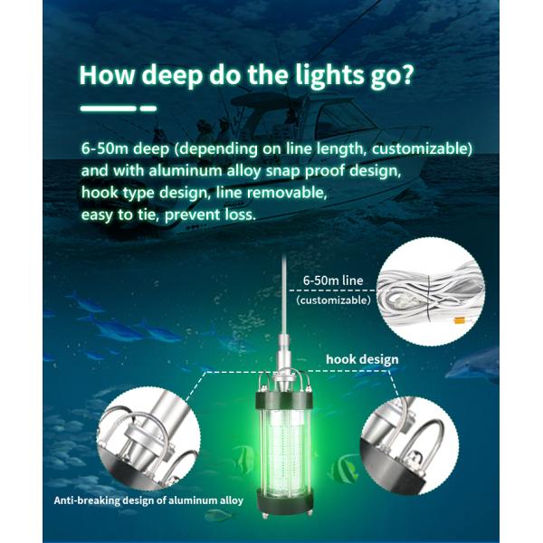200W 1000W Submersible Fishing Light Outdoor Working Light AC220V