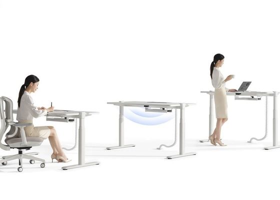 Up7 Digital Workstation Height Adjustable Desk with Easy Sit-to-Stand Switch and Multiple Size Options