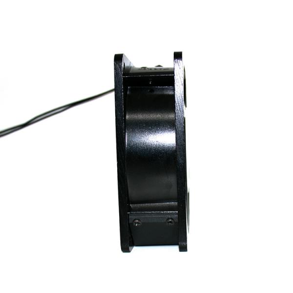 220V Metal Blade Fans
