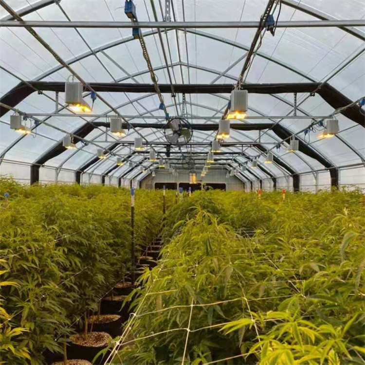 Парник лишения света одиночной пяди автоматического затемнения 100% медицинский растущий с системой затемнения