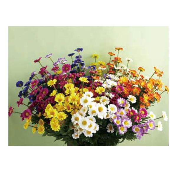 0.75mm 3D Effect Chrysanthemum Printed Plastic Packaging