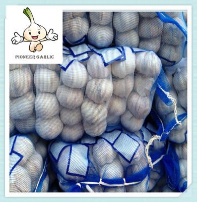 Best white garlic ,fresh garlic New Cold Storage Chinese Fresh Pure Garlic