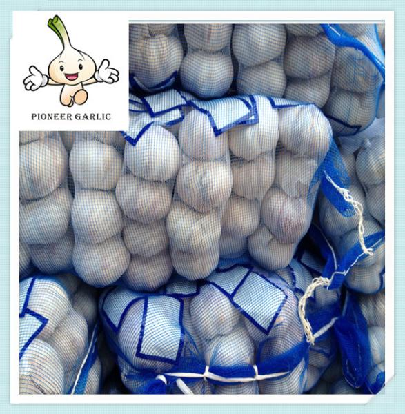 Best white garlic ,fresh garlic New Cold Storage Chinese Fresh Pure Garlic
