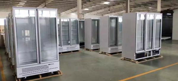 Bottom Mount Type Commercial Glass Freezer With Automatic Drain Water Evaporating System