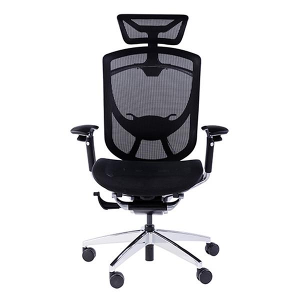 All Mesh Aluminum Base Class 4 Gas Lift Luxury Ergonomic Executive Chair​