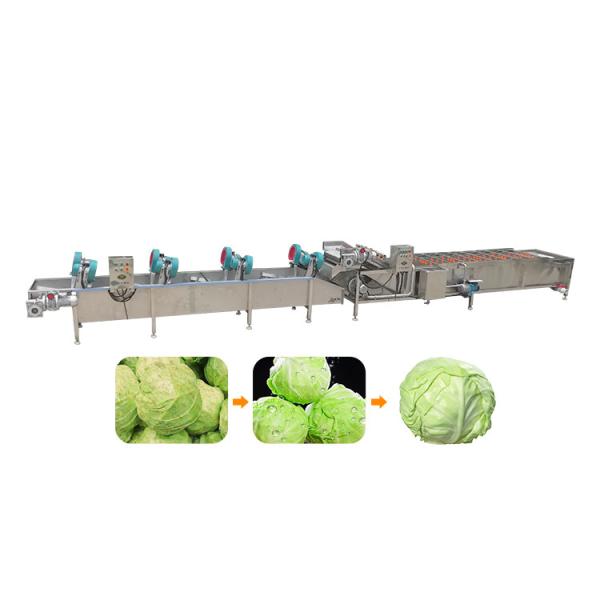 Vegetable Washing and Drying Machine Fresh Fruit Vegetable Processing Units Low Consumption High Efficiency Dried Products 5.1KW