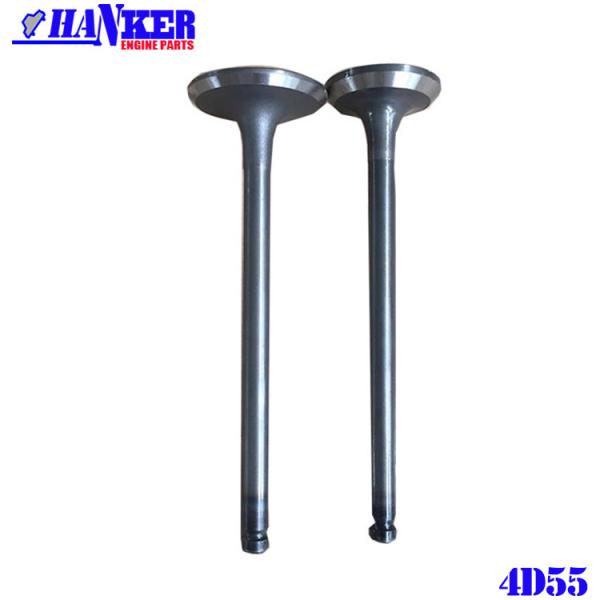 Mitsubishi 4D55 Diesel Engine Valve MD050100 MD050101