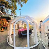 Grandes barracas exteriores transparentes claras Geodesic luxuosas do iglu das abóbadas