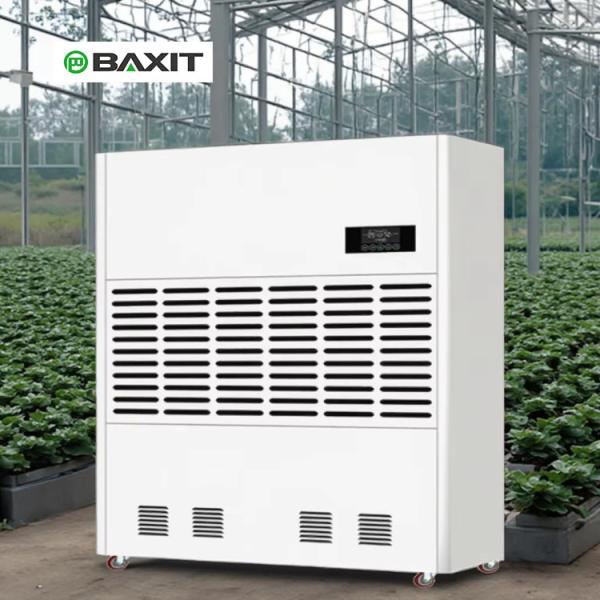 Large Industrial Dehumidifier with 1440L per Day Capacity for Warehouses & Greenhouses 1 Year Warranty