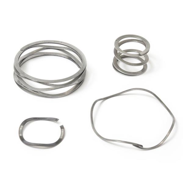 Nickel Plating 0.6mm SUS304 Stainless Steel Wave Spring