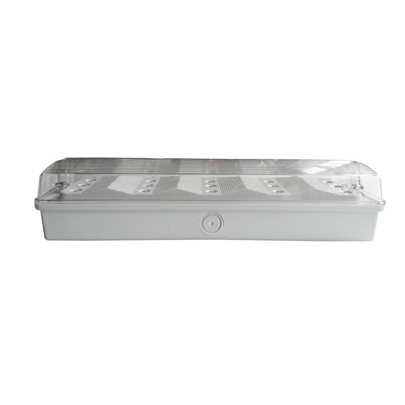 IP65 Waterproof Emergency Light Maintained Non Maintained 220V 240V 50Hz 60Hz Model EL015AM