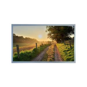 15.6-inch Industrial LCD Panel AUO G156HAN04.0 1000 Cd/m2 for Outdoor High