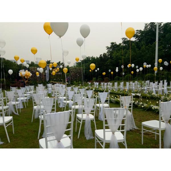 Hotel Celebration Organza Polyester Chair Back Cover