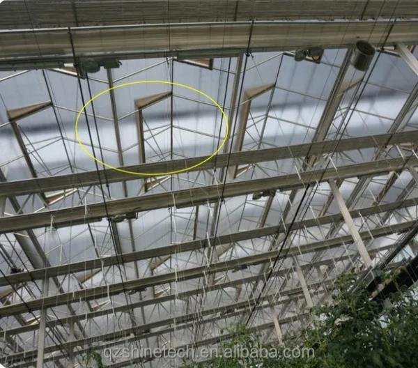 Super Strong Resistance Venlo Glass Greenhouse for Commercial Agricultural Turnkey Project