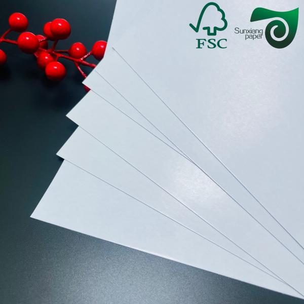 Double Sided White Matte Coated Art Card 250g  300g 25 36 Inches FSC Glossy Art Paper