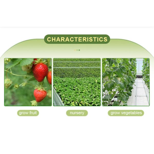 Hot Dip Glavanized Steel Polytunnel Greenhouse 10X30m Single Span