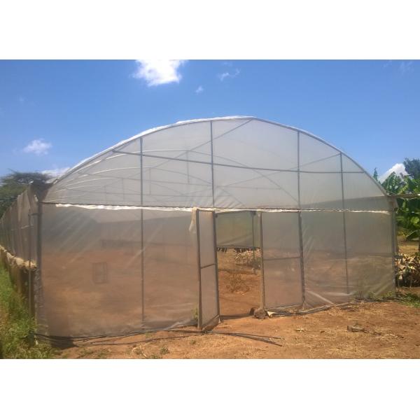 Single Span Greenhouse 8-12m Wide with 90mph Wind Resistance