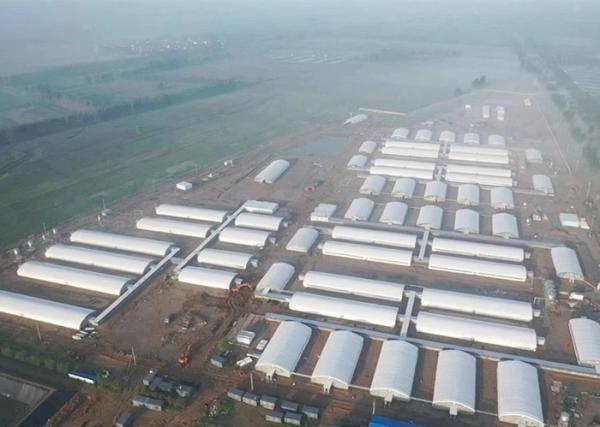Q355 / Q235 Steel Structure Pig House Fireproof Industrial Steel Buildings