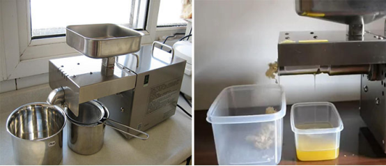 Uganda Sesame Oil Making Machine with 2-3kg/Hour Capacity and 304 Stainless Steel Material